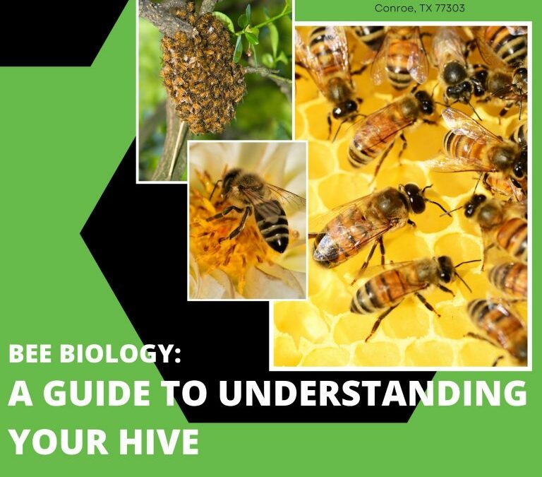 Texas Beekeepers Association – Summer 2022 Clinic