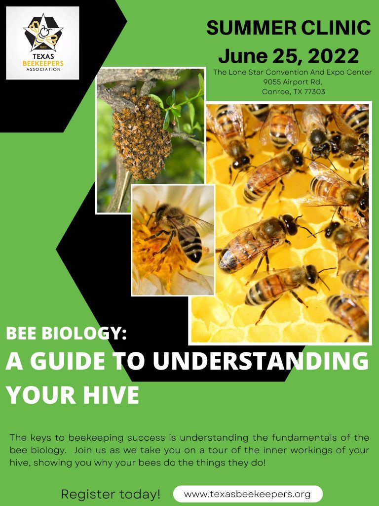 TX-Beekeepers-2022-768×1024