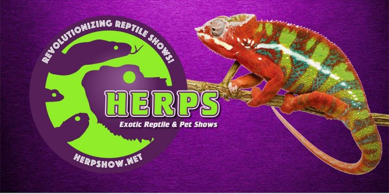 HERP-show-768×384