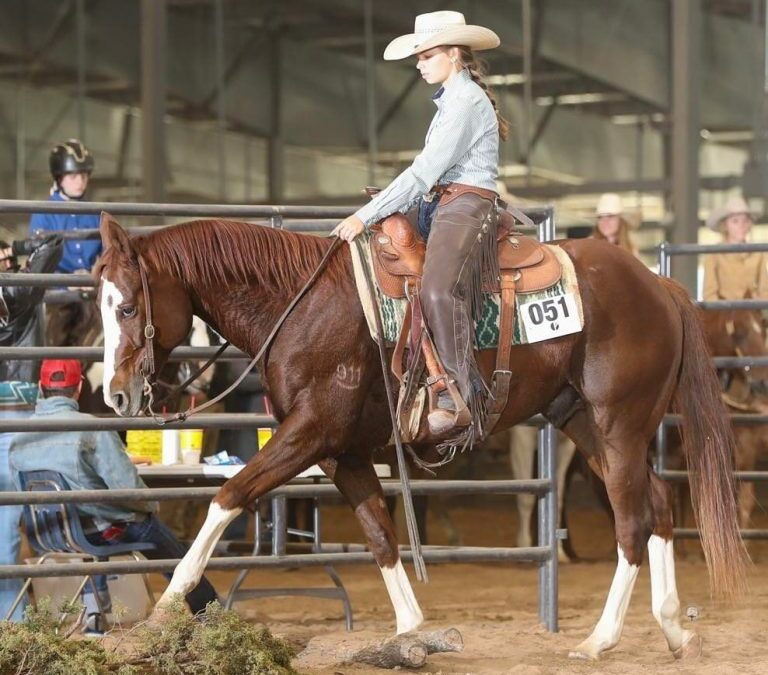 East Texas Stock Horse Clinic – October 14-16, 2022
