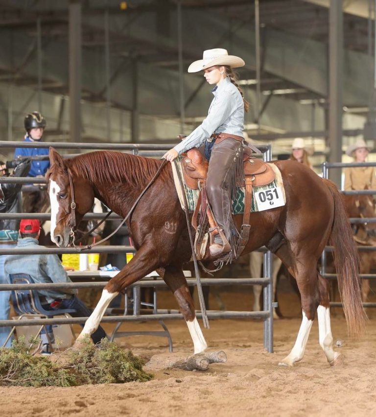East-TX-Stock-Horse-3-768×851