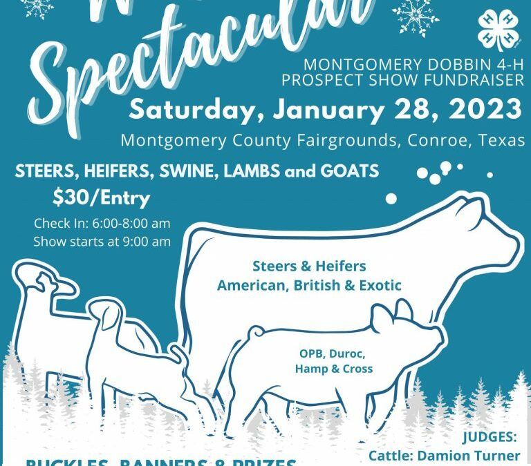 Montgomery-Dobbin 4-H Winter Spectacular – January 28, 2023