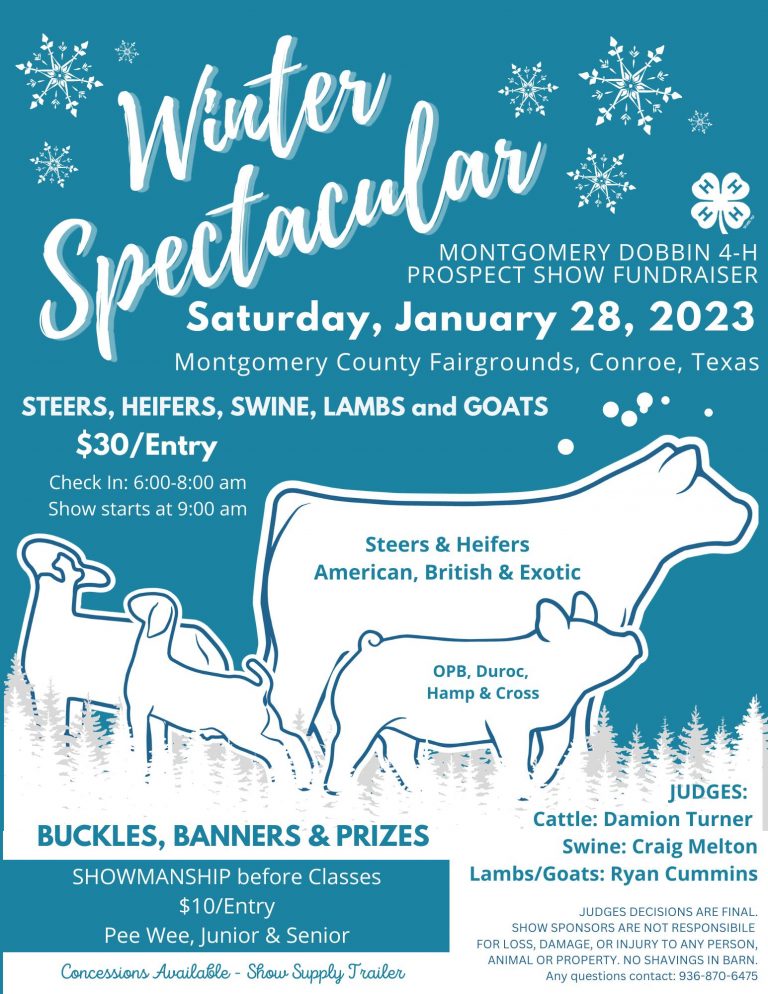 Montgomery-Dobbin-4H-2023.jpg-768×994