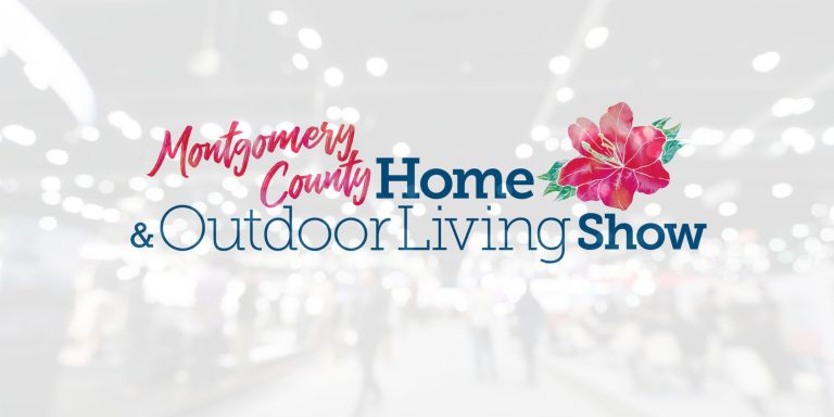 265982369_10159424588631145_4706876149316382828_n-768×384