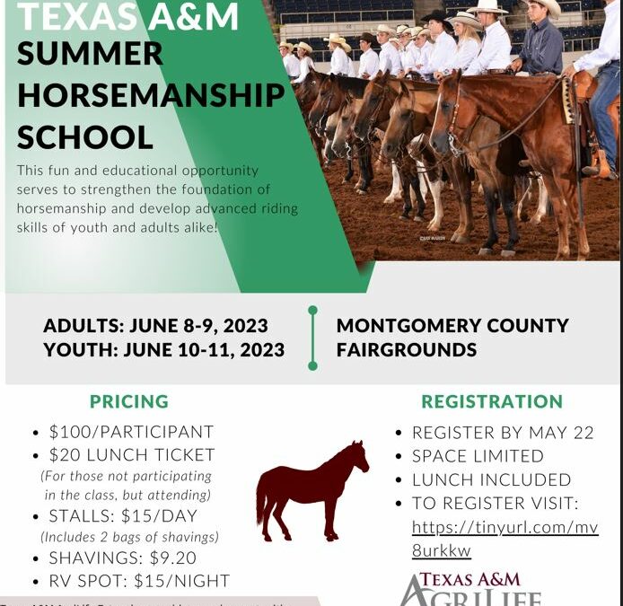 TAMU Horsemanship Clinic – June 8 – 11, 2023 – The Lone Star Expo Center