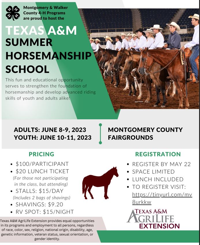 TAMU-Horsemanship-Clinic