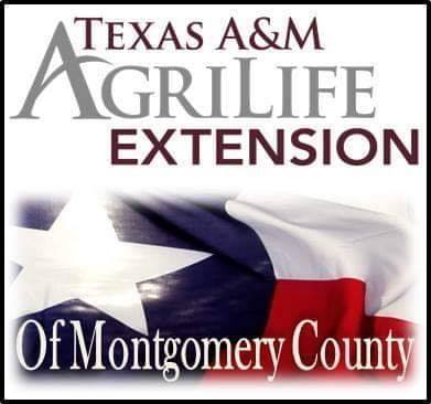 Freeze Branding Clinic – May 23, 2023 – The Lone Star Expo Center